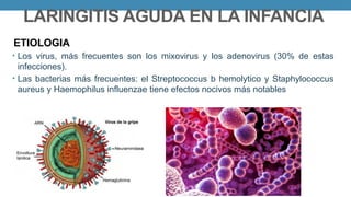 LARINGE - GENERALIDADES Y PATOLOGÍAS.pptx