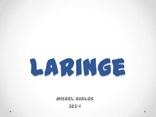 Laringe  Misael Avalos 323-1 