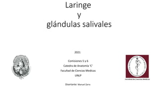 Laringe
y
glándulas salivales
Comisiones 5 y 6
Catedra de Anatomía ‘C’
Facultad de Ciencias Medicas
UNLP
Disertante: Manuel Zarra
2021
 