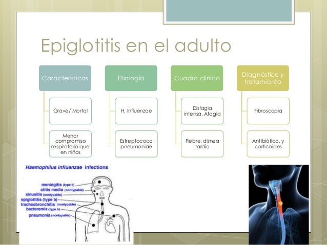 Si es posible dejar pit el antibiótico
