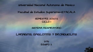 Universidad Nacional Autonoma de Mexico
Facultad de Estudios Superiores-IZTACALA
SEMESTRE 2020-2
CICLO I
SISTEMA RESPIRATORIO
LARINGITIS, EPIGLOTITIS Y BRONQUIOLITIS
2176
EQUIPO 2
 