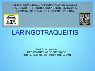 UNIVERSIDAD NACIONAL AUTONOMA DE MEXICO 
FACULTAD DE ESTUDIOS SUPERIORES IZTACALA 
HOSPITAL GENERAL JOSE VICENTE VILLADA 
Módulo de pediatría 
MÉDICO INTERNO DE PREGRADO 
ESTEFANÍA BERENICE CARREÓN GALVÁN 
 