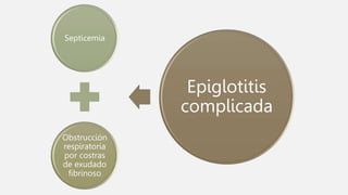 Septicemia
Obstrucción
respiratoria
por costras
de exudado
fibrinoso
Epiglotitis
complicada
 