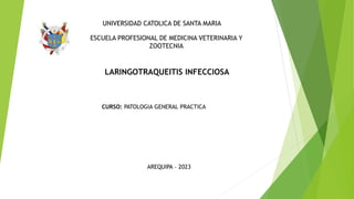 LARINGOTRAQUEITIS INFECCIOSA
UNIVERSIDAD CATOLICA DE SANTA MARIA
ESCUELA PROFESIONAL DE MEDICINA VETERINARIA Y
ZOOTECNIA
CURSO: PATOLOGIA GENERAL PRACTICA
AREQUIPA – 2023
 