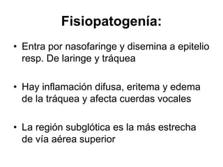 Fisiopatogenía:
• Entra por nasofaringe y disemina a epitelio
resp. De laringe y tráquea
• Hay inflamación difusa, eritema y edema
de la tráquea y afecta cuerdas vocales
• La región subglótica es la más estrecha
de vía aérea superior
 