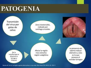 PATOGENIA
Transmisión
del virus por
gotas de
saliva
De la
nasofaringese
disemina a
laringe y
tráquea
Afecta la región
más estrecha:
región subglótica
Zona inextensible,
rodeada por
cartílago cricoides
La presencia de
edema reduce
diámetro y esto
es lo que
provoca el
estridor laríngeo
Bustos M. et al. Laringitis aguda obstructiva o crup vital. Rev Hosp Clin 2013; 25: 253-7.
 