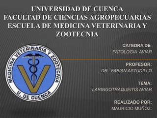 UNIVERSIDAD DE CUENCA
FACULTAD DE CIENCIAS AGROPECUARIAS
 ESCUELA DE MEDICINA VETERINARIA Y
            ZOOTECNIA
                               CATEDRA DE:
                           PATOLOGIA AVIAR

                                 PROFESOR:
                       DR. FABIAN ASTUDILLO

                                     TEMA:
                    LARINGOTRAQUEITIS AVIAR

                            REALIZADO POR:
                           MAURICIO MUÑOZ.
 