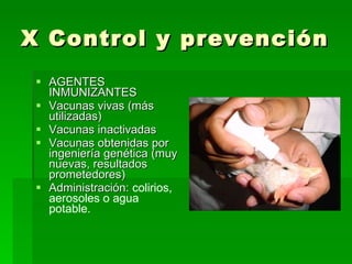 X Control y prevención AGENTES INMUNIZANTES Vacunas vivas (más utilizadas) Vacunas inactivadas Vacunas obtenidas por ingeniería genética (muy nuevas, resultados prometedores) Administración:  colirios, aerosoles o agua potable. 