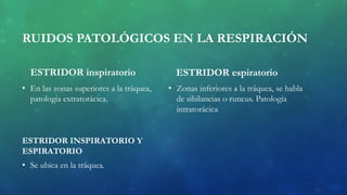 RUIDOS PATOLÓGICOS EN LA RESPIRACIÓN
ESTRIDOR inspiratorio
• En las zonas superiores a la tráquea,
patología extratorácica.
ESTRIDOR INSPIRATORIO Y
ESPIRATORIO
• Se ubica en la tráquea.
ESTRIDOR espiratorio
• Zonas inferiores a la tráquea, se habla
de sibilancias o runcus. Patología
intratorácica
 