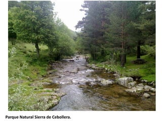 Parque Natural Sierra de Cebollera.
 