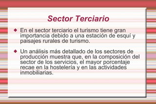 Sector Terciario En el sector terciario el turismo tiene gran importancia debido a una estación de esquí y paisajes rurales de turismo. Un análisis más detallado de los sectores de producción muestra que, en la composición del sector de los servicios, el mayor porcentaje recae en la hostelería y en las actividades inmobiliarias. 