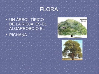 FLORA
● UN ÁRBOL TÍPICO
DE LA RIOJA ES EL
ALGARROBO O EL
● PICHANA
 