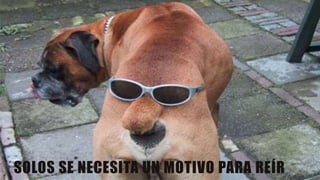 SOLOS SE NECESITA UN MOTIVO PARA REÍR