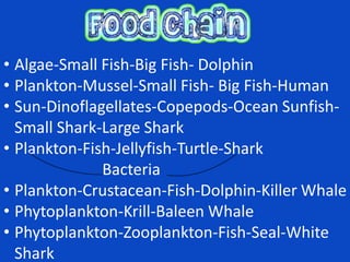 • Algae-Small Fish-Big Fish- Dolphin
• Plankton-Mussel-Small Fish- Big Fish-Human
• Sun-Dinoflagellates-Copepods-Ocean Sunfish-
  Small Shark-Large Shark
• Plankton-Fish-Jellyfish-Turtle-Shark
              Bacteria
• Plankton-Crustacean-Fish-Dolphin-Killer Whale
• Phytoplankton-Krill-Baleen Whale
• Phytoplankton-Zooplankton-Fish-Seal-White
  Shark
 