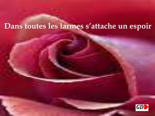 
Dans toutes les larmes s’attache un espoir
 