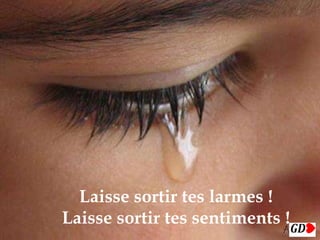 
Laisse sortir tes larmes !
Laisse sortir tes sentiments !
 