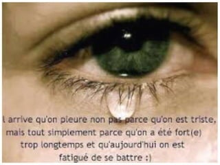 Les Larmes Les Larmes