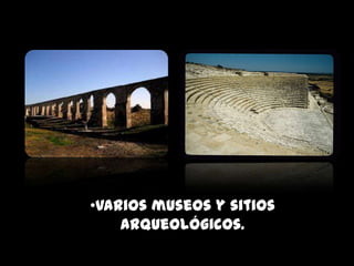 •Varios museos y sitios
    arqueológicos.
 