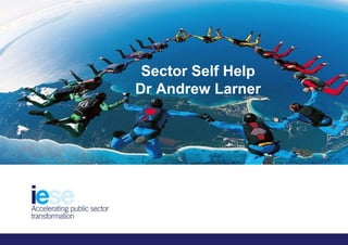 Sector Self HelpDr Andrew Larner 