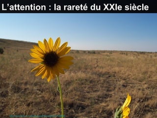L’attention : la rareté du XXIe siècle




Source :http://www.flickr.com/photos/astepintothedark/227595666
 