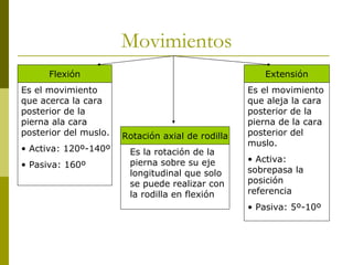 Movimientos Flexión Extensión Rotación axial de rodilla Es el movimiento que acerca la cara posterior de la pierna ala cara posterior del muslo. Activa: 120º-140º Pasiva: 160º Es la rotación de la pierna sobre su eje longitudinal que solo se puede realizar con la rodilla en flexión Es el movimiento que aleja la cara posterior de la pierna de la cara posterior del muslo. Activa: sobrepasa la posición referencia Pasiva: 5º-10º 