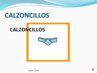 CALZONCILLOS
 