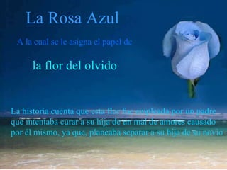 La Rosa Azul A la cual se le asigna el papel de  la flor del olvido La historia cuenta que esta flor fue empleada por un padre  que intentaba curar a su hija de un mal de amores causado  por él mismo, ya que, planeaba separar a su hija de su novio   