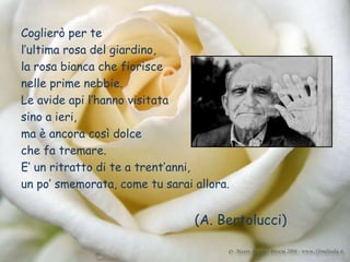 Coglierò per te
l’ultima rosa del giardino,
la rosa bianca che fiorisce
nelle prime nebbie.
Le avide api l’hanno visitata
sino a ieri,
ma è ancora così dolce
che fa tremare.
E’ un ritratto di te a trent’anni,
un po’ smemorata, come tu sarai allora.


                                (A. Bertolucci)
 