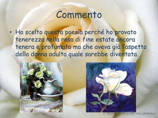 Commento
• Ho scelto questa poesia perché ho provato
  tenerezza nella rosa di fine estate ancora
  tenera e profumata ma che aveva già l’aspetto
  della donna adulta quale sarebbe diventata.
 