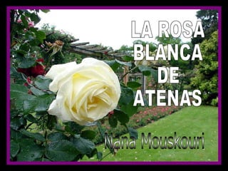 LA ROSA BLANCA DE  ATENAS Nana Mouskouri 