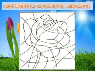 La rosa vanidosa