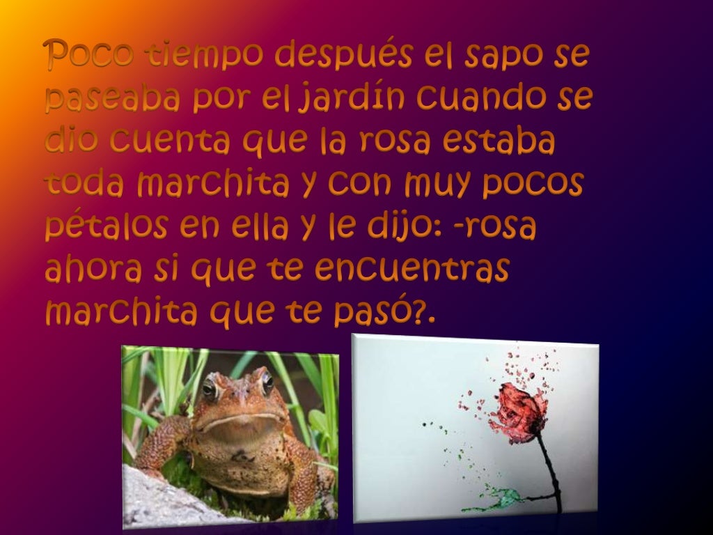 La rosa y el sapo