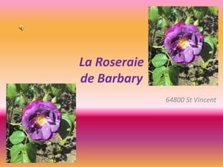 La Roseraie
de Barbary
64800 St Vincent
 