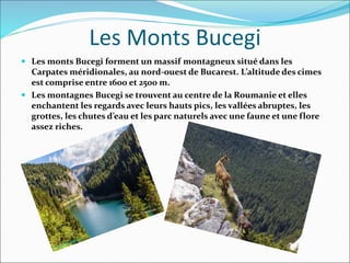 Les Monts Bucegi
 Les monts Bucegi forment un massif montagneux situé dans les
Carpates méridionales, au nord-ouest de Bucarest. L’altitude des cimes
est comprise entre 1600 et 2500 m.
 Les montagnes Bucegi se trouvent au centre de la Roumanie et elles
enchantent les regards avec leurs hauts pics, les vallées abruptes, les
grottes, les chutes d’eau et les parc naturels avec une faune et une flore
assez riches.
 