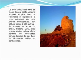 Le mont Omu, situé dans les
monts Bucegi est le onzième
sommet le plus haut de
Roumanie et représente le
point culminant de cette
chaîne montagneuse. Son
altitude est de 2 505 mètres.
Au sommet se trouve un
chalet, Cabana Omu, ainsi
qu'une station météo. Cette
dernière est considérée
comme l'endroit le plus haut
de Roumanie habité en
permanence.
 