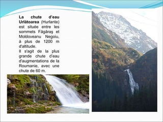 La chute d’eau
Urlătoarea (Hurlante)
est située entre les
sommets Făgăraş et
Moldoveanu Negoiu,
à plus de 1200 m
d'altitude.
Il s'agit de la plus
grande chute d’eau
d'augmentations de la
Roumanie, avec une
chute de 60 m.
 