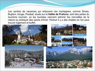 Les centres de vacances qui entourent ces montagnes, comme Sinaia,
Buşteni, Azuga, Predeal, situés sur la Vallée de Prahova, sont des perles du
tourisme roumain, où les touristes viennent admirer les merveilles de la
nature ou pratiquer des sports d’hiver. Partout il y a des chalets où l’on peut
trouver logement et buffet.
 
