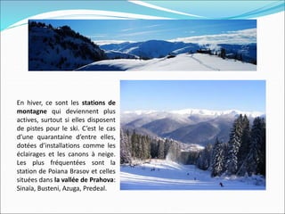 En hiver, ce sont les stations de
montagne qui deviennent plus
actives, surtout si elles disposent
de pistes pour le ski. C’est le cas
d’une quarantaine d’entre elles,
dotées d’installations comme les
éclairages et les canons à neige.
Les plus fréquentées sont la
station de Poiana Brasov et celles
situées dans la vallée de Prahova:
Sinaïa, Busteni, Azuga, Predeal.
 