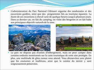  L’administration du Parc National Călimani organise des randonnées et des
excursions guidées, ainsi que des programmes liés au tourisme équestre. La
durée de ces excursions à cheval varie de quelque heures jusqu’à plusieurs jours.
Dans ce dernier cas, on fait du camping, on visite des bergeries et on fait halte
aux principaux objectifs naturels de la zone.
 Le parc ne dispose pas d’unités d’hébergement, mais on peut camper dans
certains endroits mentionnés sur la carte touristique de cette aire protégée. En
plus, une multitude de gîtes ruraux vous attend. Vous découvrirez avec plaisir
que les coutumes et traditions, ainsi que la cuisine du terroir y sont
soigneusement préservées.
 