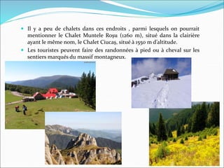  Il y a peu de chalets dans ces endroits , parmi lesquels on pourrait
mentionner le Chalet Muntele Roşu (1260 m), situé dans la clairière
ayant le même nom, le Chalet Ciucaş, situé à 1550 m d’altitude.
 Les touristes peuvent faire des randonnées à pied ou à cheval sur les
sentiers marqués du massif montagneux.
 