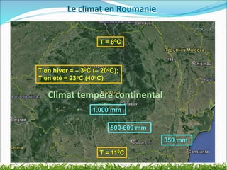 T = 110C
T = 80C
T en hiver = – 3oC (– 20oC);
T en été = 23oC (40oC)
350 mm
500-600 mm
1.000 mm
Climat tempéré continental
Le climat en Roumanie
 