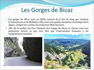 Les Gorges de Bicaz
 Les gorges de Bicaz sont un défilé naturel de 8 km de long qui unissent
la Transylvanie et la Moldavie. Elles sont une grande attraction touristique de la
région, malgré leur surface de seulement 6800 hectares.
 78% de la surface du Parc National des Gorges de Bicaz se situent sous une
protection stricte, ce qui veut dire que l’intervention humaine y est
intégralement interdite.
 