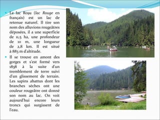  Le lac Roșu (lac Rouge en
français) est un lac de
retenue naturel. Il tire son
nom des alluvions rougeâtres
déposées, il a une superficie
de 11,5 ha, une profondeur
de 10 m, une longueur
de 2,8 km. Il est situé
à 883 m d'altitude.
 Il se trouve en amont des
gorges et s'est formé vers
1838 à la suite d'un
tremblement de terre suivi
d'un glissement de terrain.
Les sapins abattus dont les
branches sèches ont une
couleur rougeâtre ont donné
son nom au lac. On voit
aujourd'hui encore leurs
troncs qui surgissent de
l'eau.
 