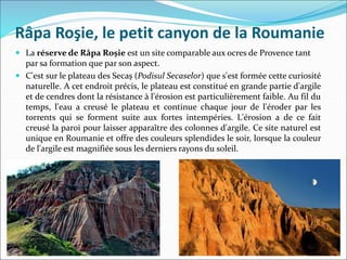 Râpa Roşie, le petit canyon de la Roumanie
 La réserve de Râpa Roşie est un site comparable aux ocres de Provence tant
par sa formation que par son aspect.
 C'est sur le plateau des Secaș (Podisul Secaselor) que s'est formée cette curiosité
naturelle. A cet endroit précis, le plateau est constitué en grande partie d'argile
et de cendres dont la résistance à l'érosion est particulièrement faible. Au fil du
temps, l'eau a creusé le plateau et continue chaque jour de l'éroder par les
torrents qui se forment suite aux fortes intempéries. L'érosion a de ce fait
creusé la paroi pour laisser apparaître des colonnes d'argile. Ce site naturel est
unique en Roumanie et offre des couleurs splendides le soir, lorsque la couleur
de l'argile est magnifiée sous les derniers rayons du soleil.
 