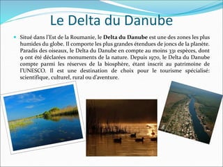 Le Delta du Danube
 Situé dans l’Est de la Roumanie, le Delta du Danube est une des zones les plus
humides du globe. Il comporte les plus grandes étendues de joncs de la planète.
Paradis des oiseaux, le Delta du Danube en compte au moins 331 espèces, dont
9 ont été déclarées monuments de la nature. Depuis 1970, le Delta du Danube
compte parmi les réserves de la biosphère, étant inscrit au patrimoine de
l’UNESCO. Il est une destination de choix pour le tourisme spécialisé:
scientifique, culturel, rural ou d’aventure.
 