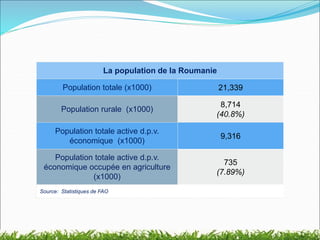 La population de la Roumanie
Population totale (x1000) 21,339
Population rurale (x1000)
8,714
(40.8%)
Population totale active d.p.v.
économique (x1000)
9,316
Population totale active d.p.v.
économique occupée en agriculture
(x1000)
735
(7.89%)
Source: Statistiques de FAO
 
