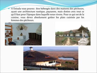  A Enisala vous pouvez être hébergés dans des maisons des pêcheurs,
ayant une architecture rustique, paysanne, mais dotées avec tout ce
qu’il faut pour l’époque dans laquelle nous vivons. Pour ce qui est de la
cuisine, vous devez absolument goûter les plats cuisinés par les
femmes des pêcheurs.
 