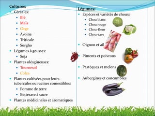 Cultures:
 Céréales:
 Blé
 Maïs
 Orge
 Avoine
 Triticale
 Sorgho
 Légumes à gousses:
 Soja
 Plantes oléagineuses:
 Tournesol
 Colza
 Plantes cultivées pour leurs
tubercules ou racines comestibles:
 Pomme de terre
 Betterave à sucre
 Plantes médicinales et aromatiques
Légumes:
 Espèces et variétés de choux:
 Chou blanc
 Chou rouge
 Chou-fleur
 Chou-rave
 Oignon et ail
 Piments et poivrons
 Pastèques et melons
 Aubergines et concombres
 