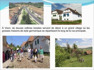 À Viscri, de douces collines boisées servent de décor à un grand village où les
grosses maisons de style germanique se répartissent le long de la rue principale.
 