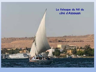 La felouque du Nil du
côté d’Assouan

 